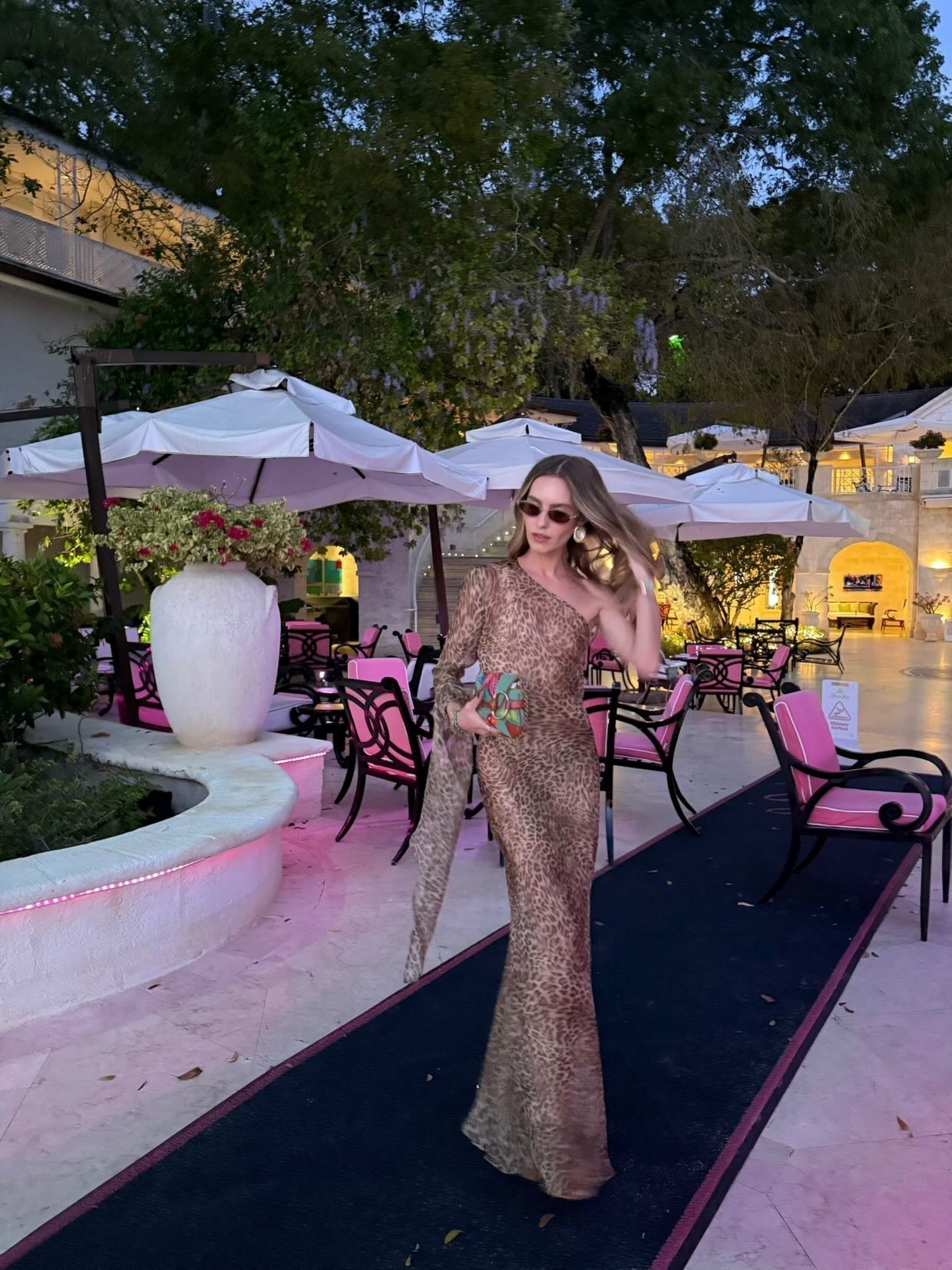 Feline Allure Maxi - Montaracrest